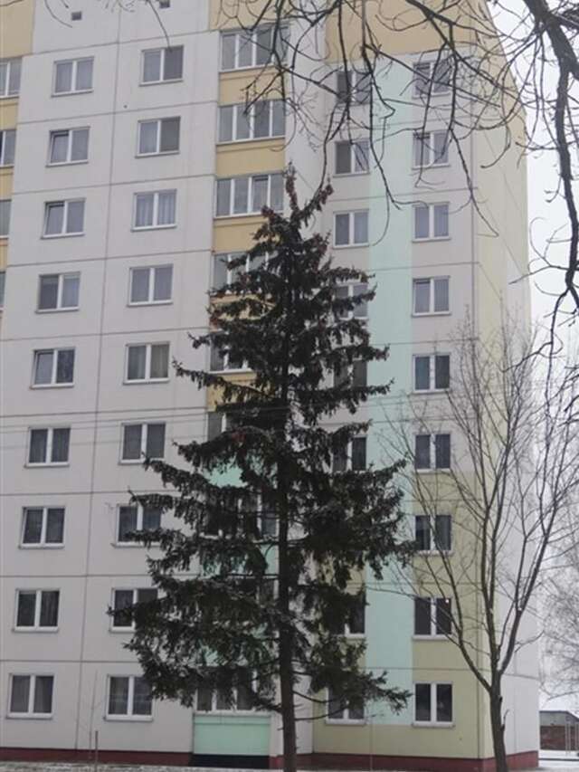 Апартаменты PaulMarie Apartments on Stroiteley Бобруйск-12